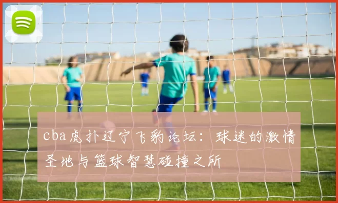 cba虎扑辽宁飞豹论坛：球迷的激情圣地与篮球智慧碰撞之所