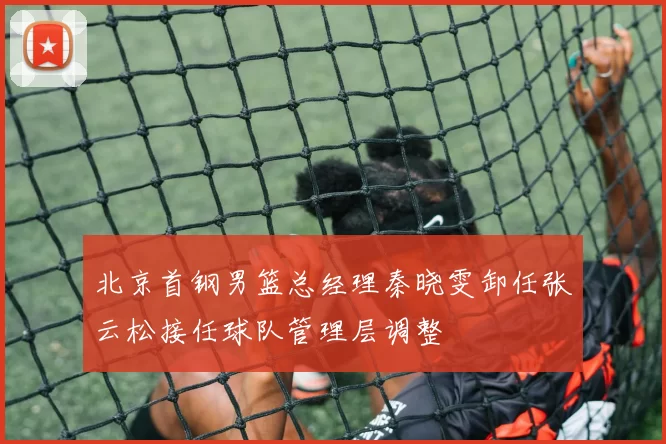 北京首钢男篮总经理秦晓雯卸任张云松接任球队管理层调整
