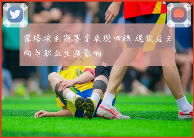 蒙塔埃利斯赛季表现回顾 退役后去向与职业生涯影响