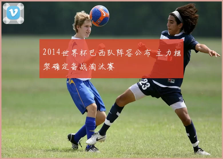 2014世界杯巴西队阵容公布 主力框架确定备战淘汰赛