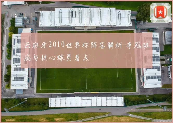 西班牙2010世界杯阵容解析 夺冠班底与核心球员看点